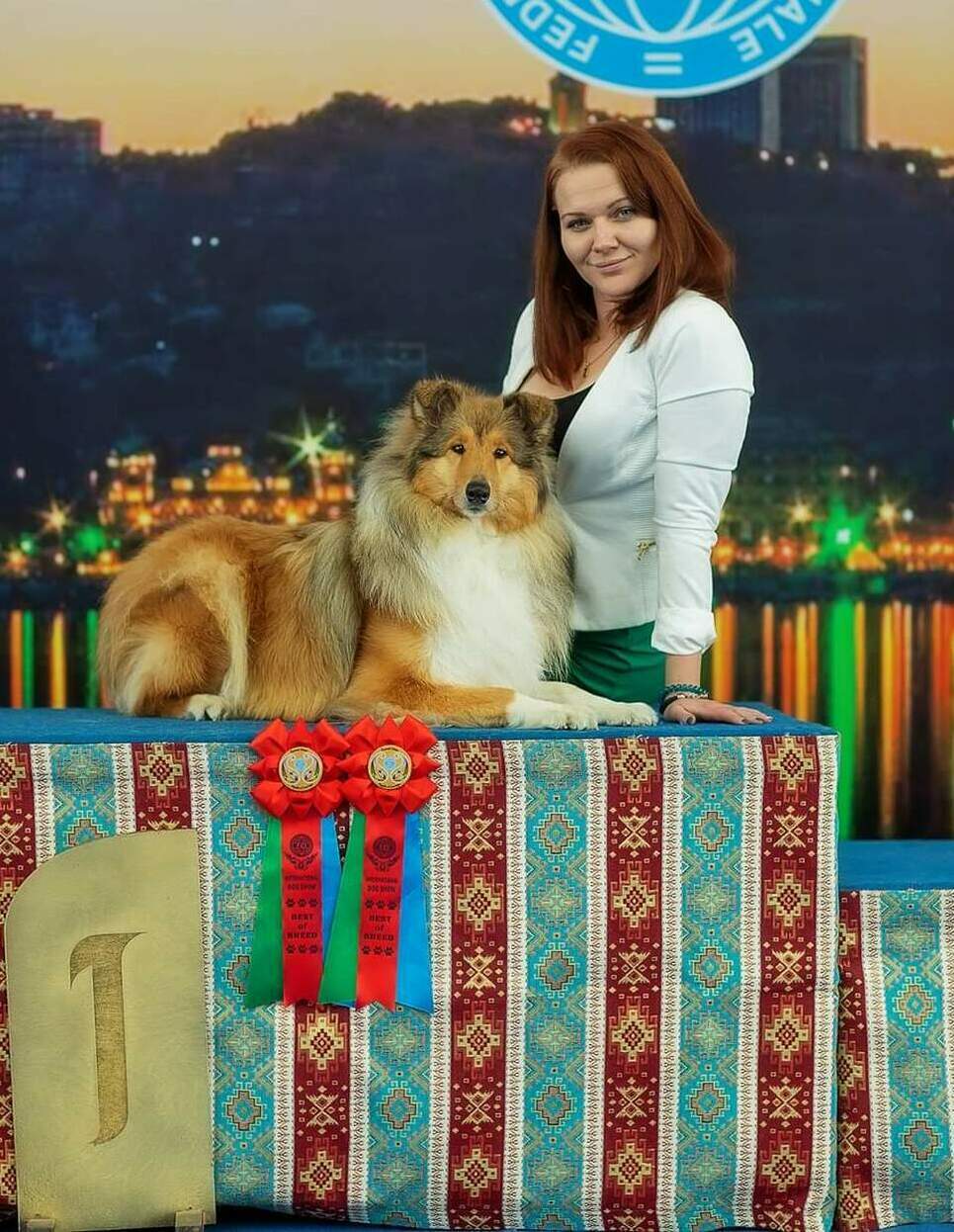 выставочный груминг колли д\ш
